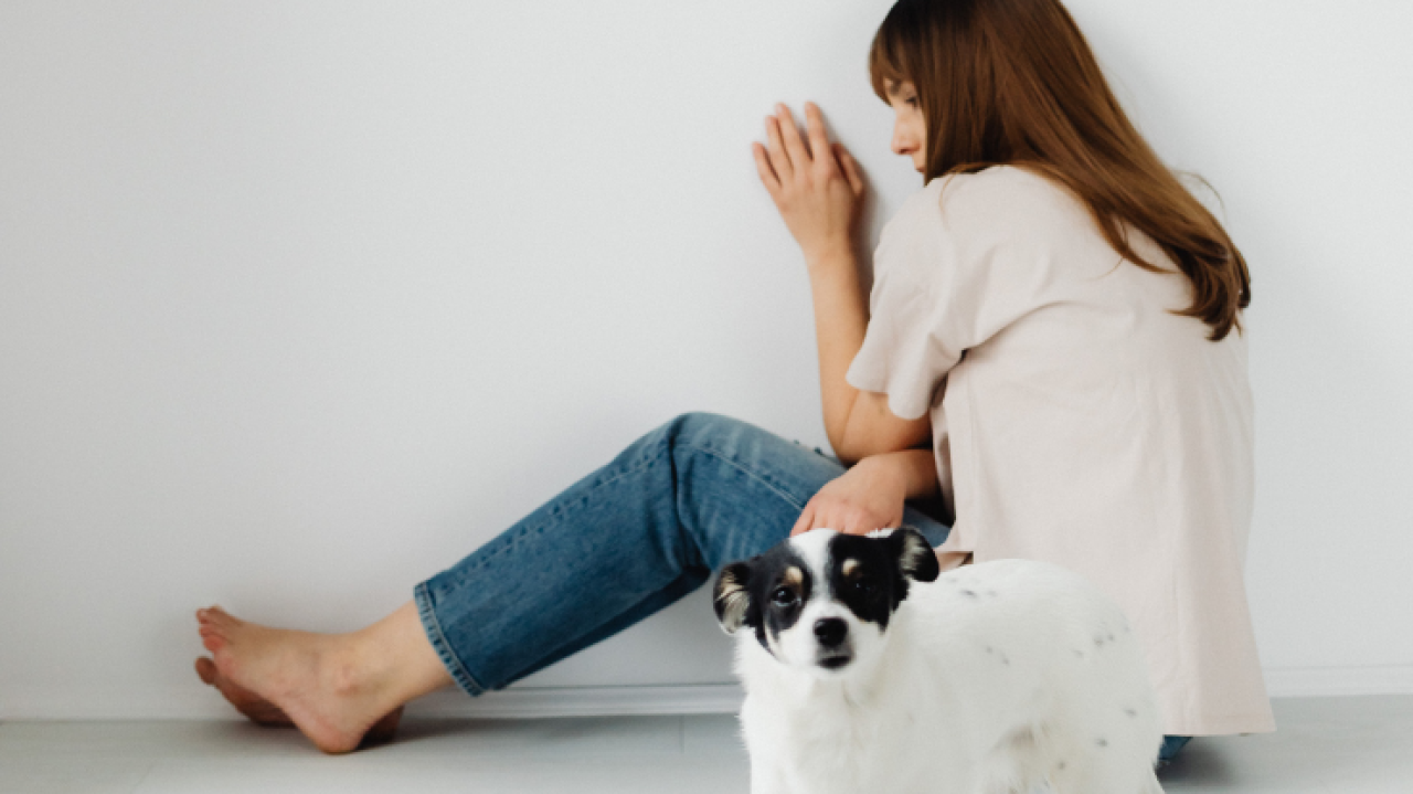 Rüyada Köpekten Kaçmak